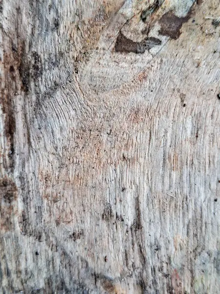 Doğal işaretleri, kırsal dokusu ve organik tonları olan eski bir ahşap yüzeye yakın plan..