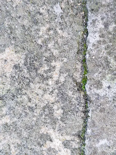 Düz olmayan bir yüzeyi, küçük çatlakları ve eklemlerinde büyüyen yeşil yosunları olan kırsal beton zeminin yakın çekimi doğal aşınmayı ve biriken nemi vurguluyor..