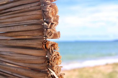 Sahilde dalgaların çarptığı tropikal bir plajda, arka planda deniz bulunan bir zemin olarak kurulmuş güzel bir kırsal halı kompozisyonu..