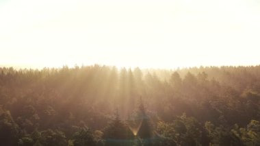 Sabah sisi, güneş ışığıyla kaplı bir ormanın üzerinde yaz sabahının ilk saatlerinde gökyüzünden görülen bir ışıkla..