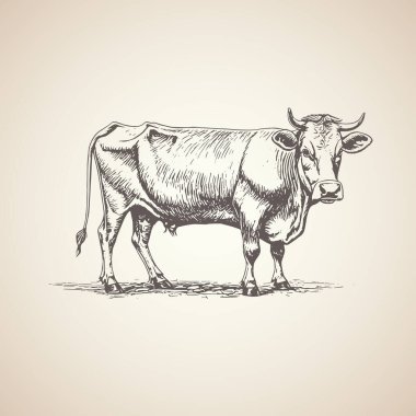 Handrew cowillustration grafik retro