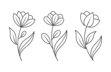 Zarif Botanik Tasarımı ile Asgari Çizgi Sanat Vektörü Çiçekleri