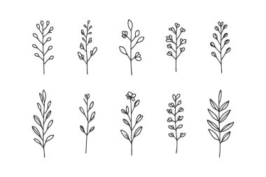 En düşük botanik vektör çizimleri markalaşma ve tasarım için mükemmel