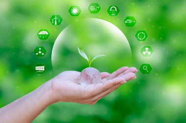 Çevre Günü, Dünya Çevre Günü, Koruma, Kampanya, Çevre, Sürdürülebilir, Dünyayı Kurtarma, Fikir, Dünya Çevre Günü, Çevre, Dünya Gezici, Yeşil Alan