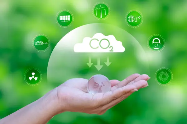 Çevre Günü, Dünya Çevre Günü, Koruma, Kampanya, Çevre, Sürdürülebilir, Dünyayı Kurtarma, Fikir, Dünya Çevre Günü, Çevre, Dünya Gezici, Yeşil Alan