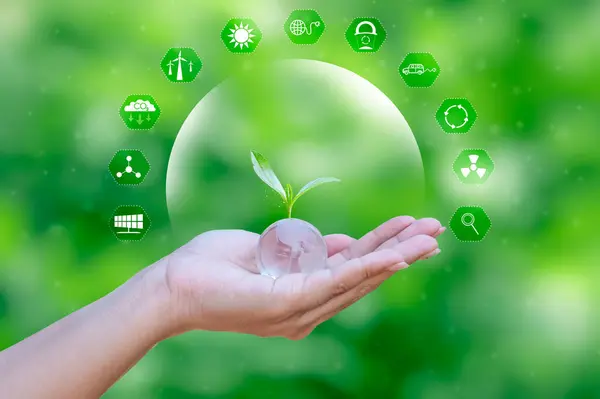 Çevre Günü, Dünya Çevre Günü, Koruma, Kampanya, Çevre, Sürdürülebilir, Dünyayı Kurtarma, Fikir, Dünya Çevre Günü, Çevre, Dünya Gezici, Yeşil Alan