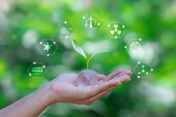 Çevre Günü, Dünya Çevre Günü, Koruma, Kampanya, Çevre, Sürdürülebilir, Dünyayı Kurtarma, Fikir, Dünya Çevre Günü, Çevre, Dünya Gezici, Yeşil Alan