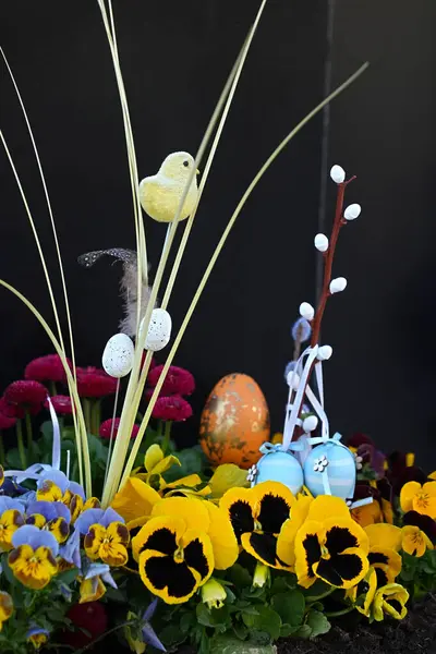 Paskalya parlak hayat ve taze çiçekler yakın plan viyola