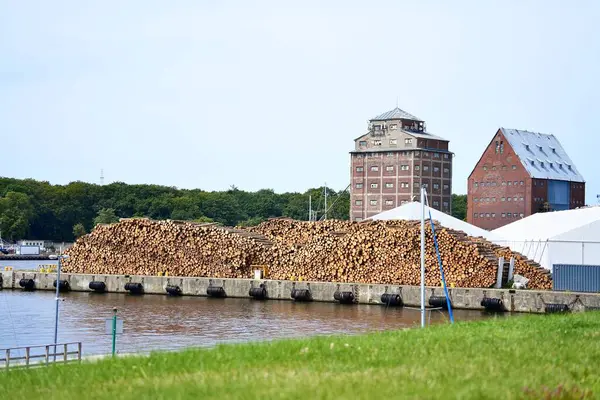 Limandaki gemiye yüklemeye hazır büyük bir kereste yığını..