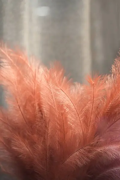 Yapay kırmızı tüyler yakın plan.