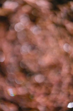 Güzel soyut bulanık kahverengi arka plan