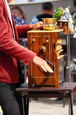 Tuğla renkli ceketli bir org öğütücüsü varil üzerinde turistleri eğlendiriyordu..