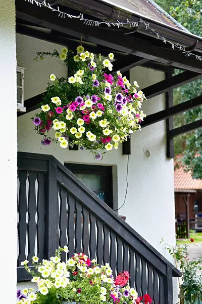 Renkli petunyalarla süslenmiş kır evinin girişi..