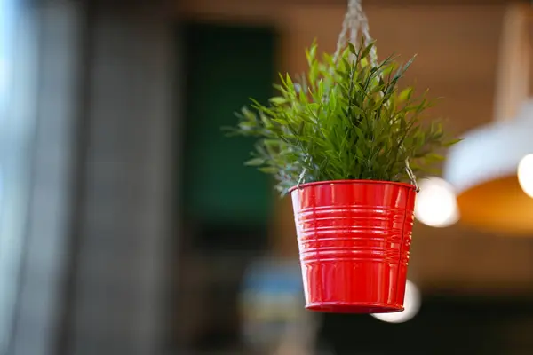 Yapay yeşil kırmızı saksıda asılı..