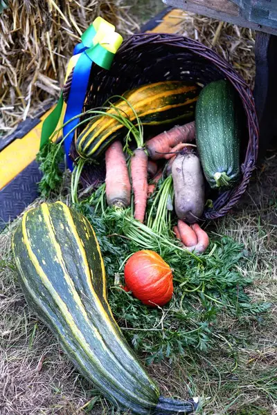 Kırsal kesimde sebze hasadı olan hasır sepet..