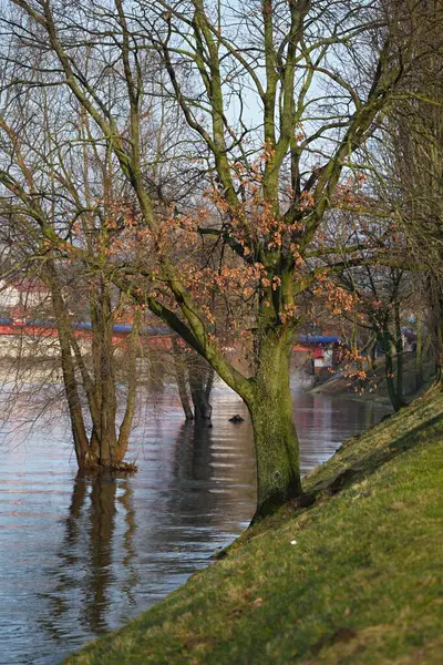 Bahar nehri taşar, taşar taşar..