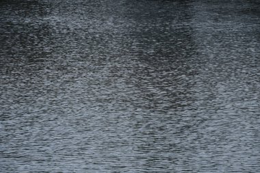 Işık dalgalı göl suyunun arkaplan fotoğrafı