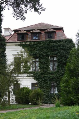 Yeşil bitkilerle kaplı güzel eski bir ev.