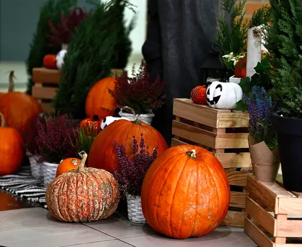 Portakal kabağı ve funda buketli Cadılar Bayramı süslemesi.