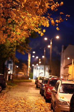 Yol boyunca park halindeki arabaların fenerlerle aydınlatılmış sonbahar fotoğrafları..