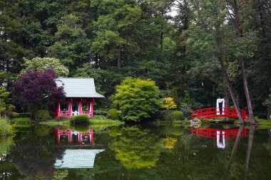 Yazın Japon tarzı bir bahçede sessiz bir göl manzarası.