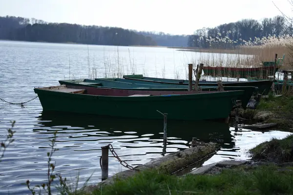 Çamurlu bir göl kıyısı Su gezintisi ve balık avı için