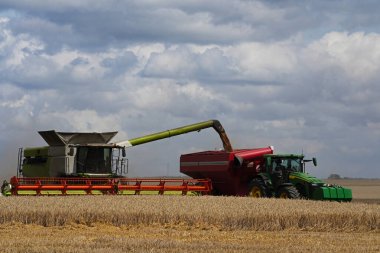Hasat süreci, hasat makinesinin hasat edilen tahılı yükleyiciye aktardığı yer.