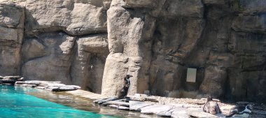 Güzel deniz manzarası