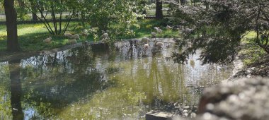 Parkın güzel manzarası