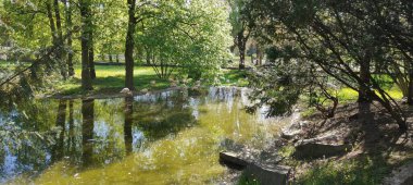 Parkın güzel manzarası