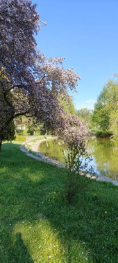 Parkın güzel manzarası