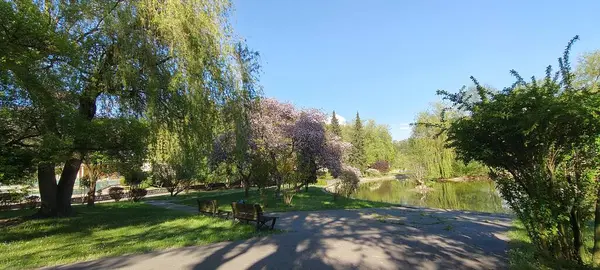 Parkta güzel bir bahar