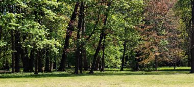 Parkın güzel manzarası