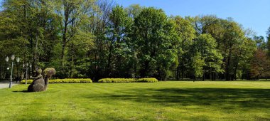 Parkın güzel manzarası