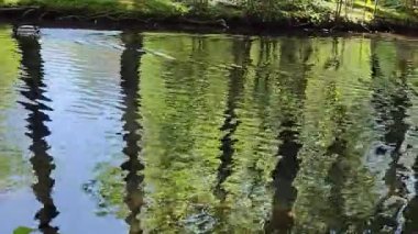 Göldeki suyun yansıması.