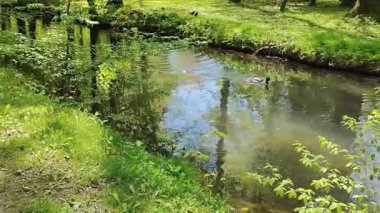 göl ve su akıntısı