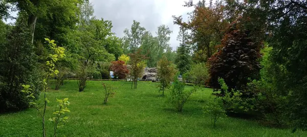 Ağaçları ve yeşil otları olan güzel bir manzara.