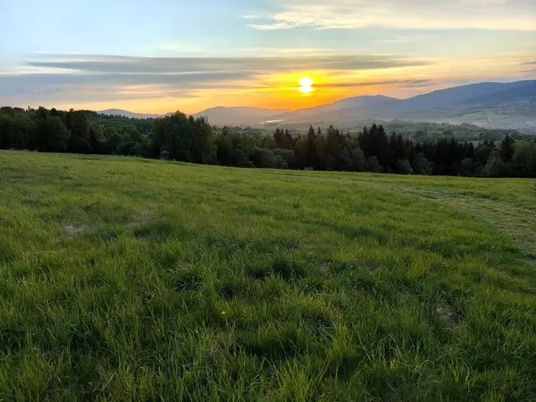Tarlanın üzerinde güzel bir gün batımı