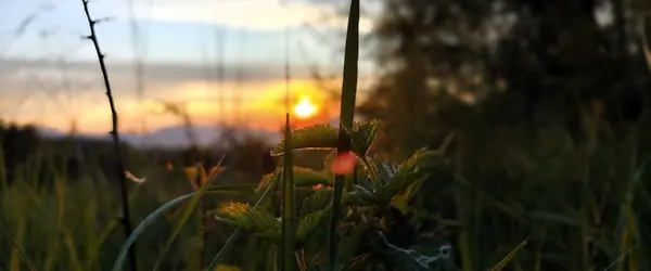 Doğada güzel bir gün batımı
