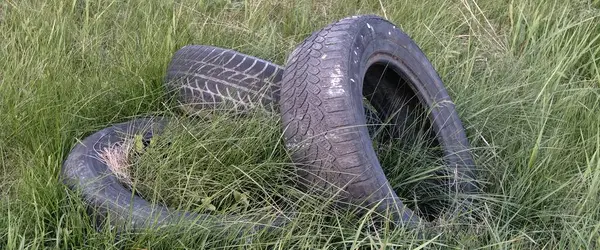 Eski paslı lastikler çimlerin üzerinde. Araba lastiği sahada..