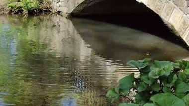 Parktaki nehrin güzel manzarası.