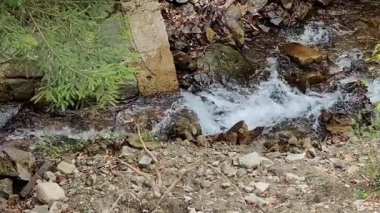 Sahile su sıçrıyor.