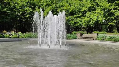 Parktaki çeşme. Yaz parkı