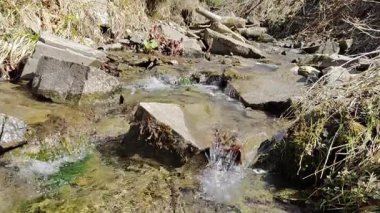 Dağlarda bir şelale