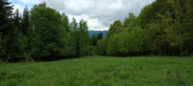 Dağlarda dağları olan güzel bir manzara.