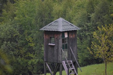 Ormandaki eski ahşap ev