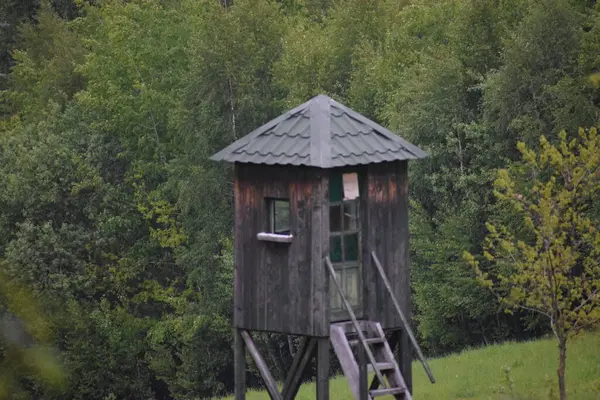 Ormandaki eski ahşap ev