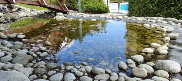 Doğanın güzel manzarası