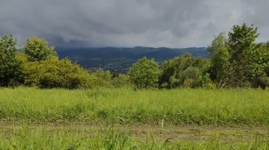 Arka planda yeşil orman ve dağlar