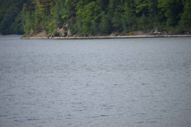 Arka planda gölün kıyısı ve gölü.